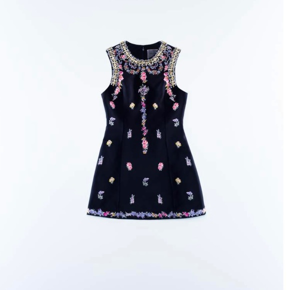 Giambattista Valli x H&M Dress with embroidery - Picture 1 of 1